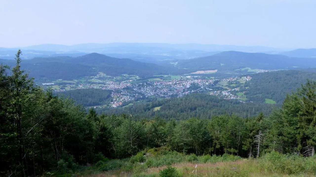 Apartment Ferienwohnungen Jonuscheit Bodenmais
